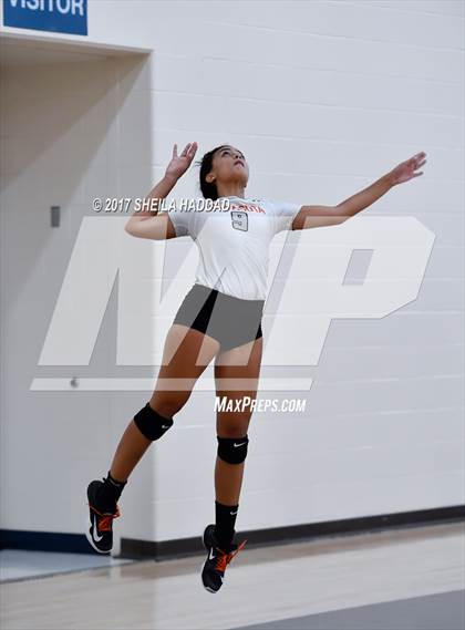 Thumbnail 3 in Tampa Prep vs Sarasota photogallery.