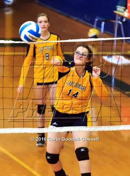 Thumbnail 1 in Southern Wayne @ Goldsboro photogallery.