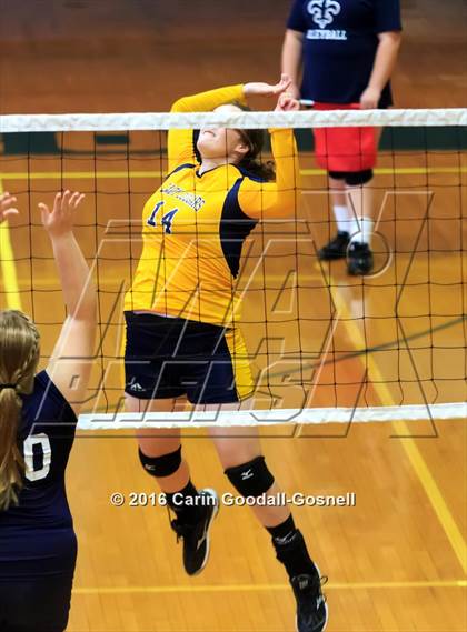 Thumbnail 2 in Southern Wayne @ Goldsboro photogallery.