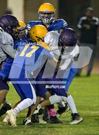Photo from the gallery "Live Oak @ Pierce"