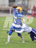 Photo from the gallery "Live Oak @ Pierce"
