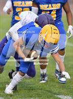 Photo from the gallery "Live Oak @ Pierce"