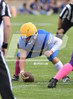 Photo from the gallery "Live Oak @ Pierce"