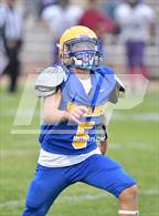 Photo from the gallery "Live Oak @ Pierce"
