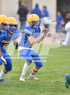 Photo from the gallery "Live Oak @ Pierce"