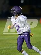 Photo from the gallery "Live Oak @ Pierce"