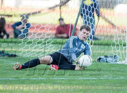 Thumbnail 1 in Weston @ Joel Barlow photogallery.