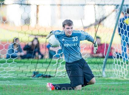 Thumbnail 3 in Weston @ Joel Barlow photogallery.