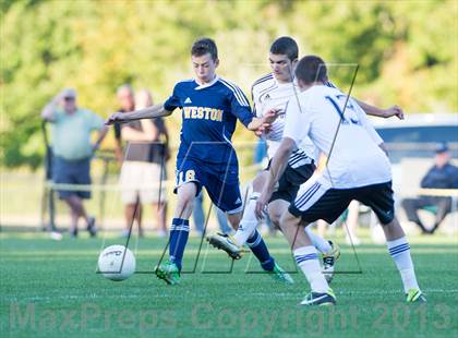 Thumbnail 3 in Weston @ Joel Barlow photogallery.