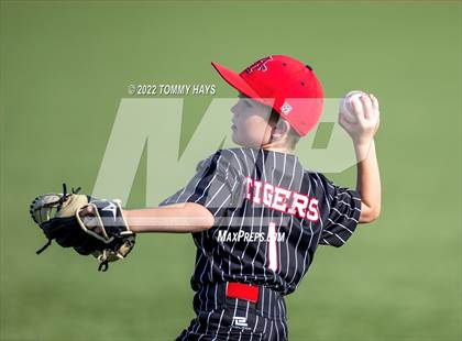Thumbnail 1 in Hamilton @ Anson (UIL 2A Region 1 Quarterfinal Playoff) photogallery.