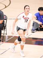 Photo from the gallery "Campolindo @ James Logan (CIF NCS Open Division First Round Playoff)"