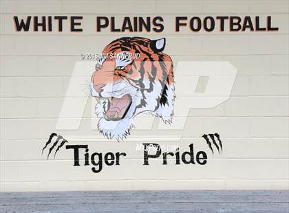 Thumbnail 3 in Archbishop Stepinac @ White Plains photogallery.