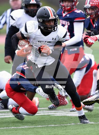 Thumbnail 2 in Archbishop Stepinac @ White Plains photogallery.