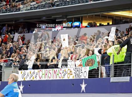 Thumbnail 3 in Aledo vs. Fort Bend Marshall (UIL 5A Division 2 Championship) photogallery.