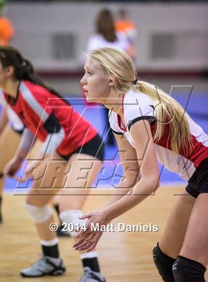 Thumbnail 2 in Eaglecrest vs. Cherry Creek (CHSAA 5A Playoff) photogallery.