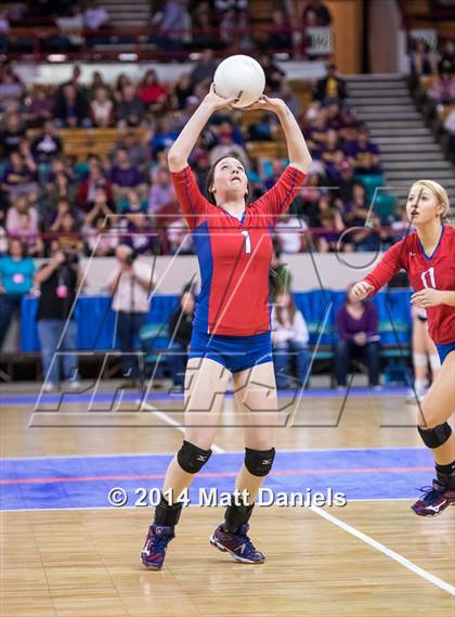 Thumbnail 1 in Eaglecrest vs. Cherry Creek (CHSAA 5A Playoff) photogallery.