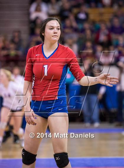 Thumbnail 1 in Eaglecrest vs. Cherry Creek (CHSAA 5A Playoff) photogallery.