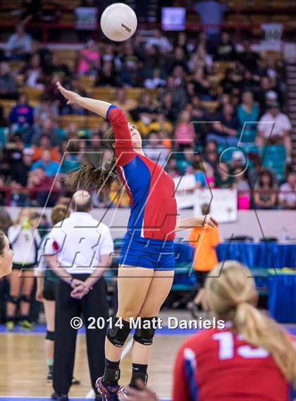 Thumbnail 3 in Eaglecrest vs. Cherry Creek (CHSAA 5A Playoff) photogallery.