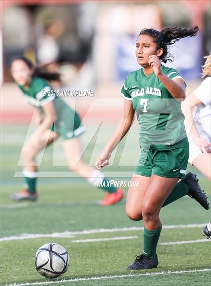 Thumbnail 1 in Palo Alto @ Monte Vista (CIF NorCal Regional D1 1st Round) photogallery.