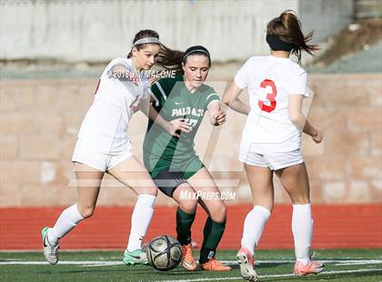 Thumbnail 2 in Palo Alto @ Monte Vista (CIF NorCal Regional D1 1st Round) photogallery.