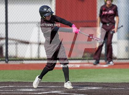 Thumbnail 1 in Brock @ Mineral Wells photogallery.