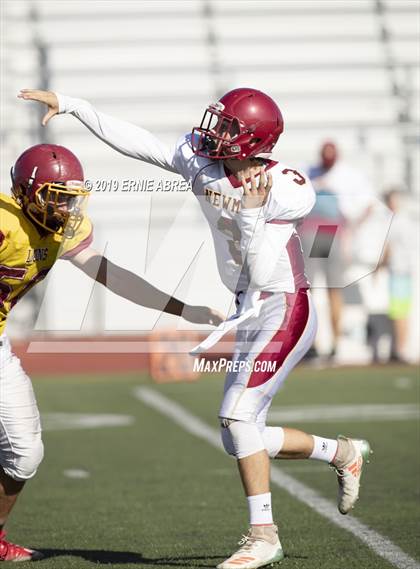 Thumbnail 2 in Cardinal Newman vs. Liberty photogallery.