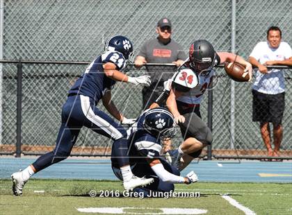 Thumbnail 1 in Redwood @ Marin Catholic photogallery.