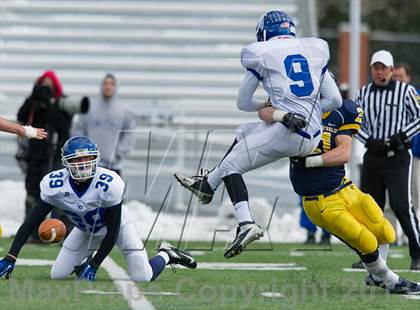 Thumbnail 1 in Lower Dauphin vs. Central Catholic (PIAA Class AAAA Semifinal) photogallery.