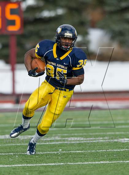 Thumbnail 2 in Lower Dauphin vs. Central Catholic (PIAA Class AAAA Semifinal) photogallery.