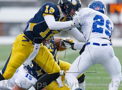 Thumbnail 1 in Lower Dauphin vs. Central Catholic (PIAA Class AAAA Semifinal) photogallery.