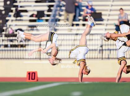 Thumbnail 1 in Crandall @ Irving photogallery.