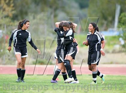 Thumbnail 2 in Cate vs Arroyo (CIF SS D7 Playoffs) photogallery.