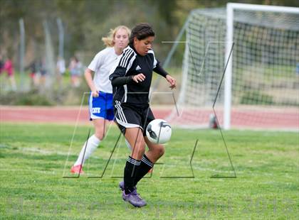 Thumbnail 2 in Cate vs Arroyo (CIF SS D7 Playoffs) photogallery.
