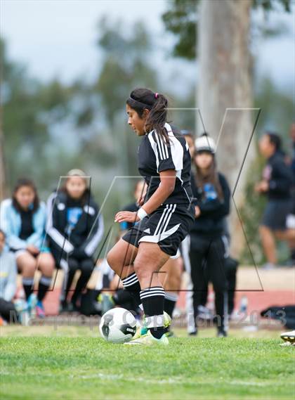 Thumbnail 1 in Cate vs Arroyo (CIF SS D7 Playoffs) photogallery.