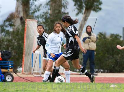 Thumbnail 2 in Cate vs Arroyo (CIF SS D7 Playoffs) photogallery.