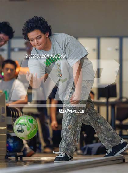 Thumbnail 1 in Mojave @ Virgin Valley photogallery.