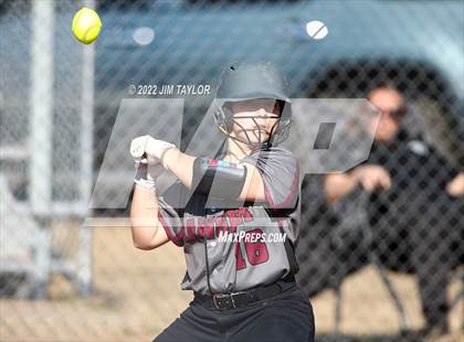 Thumbnail 1 in Ranger @ Lipan photogallery.