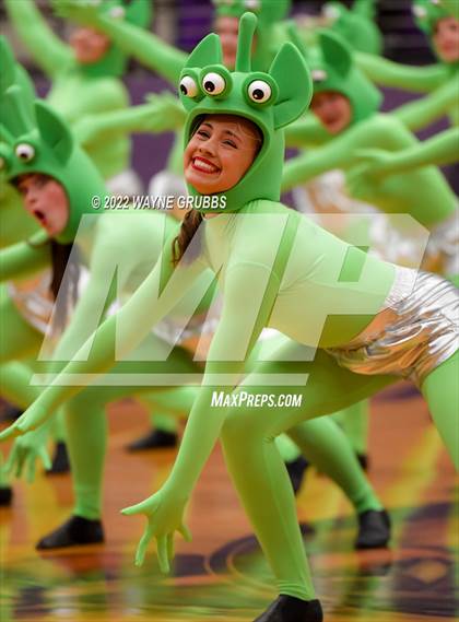Thumbnail 2 in Longview @ Hallsville photogallery.