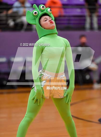 Thumbnail 3 in Longview @ Hallsville photogallery.