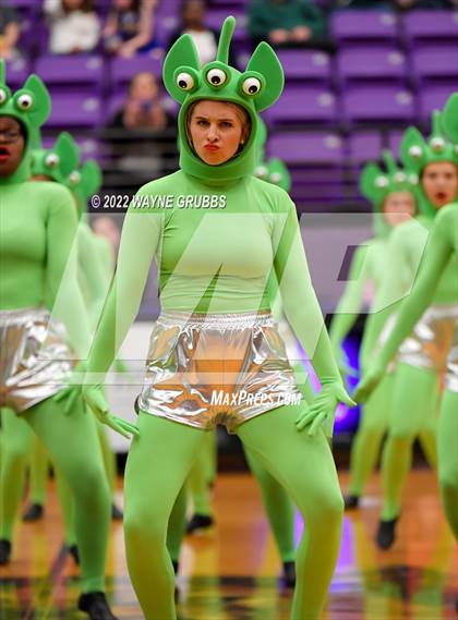 Thumbnail 3 in Longview @ Hallsville photogallery.