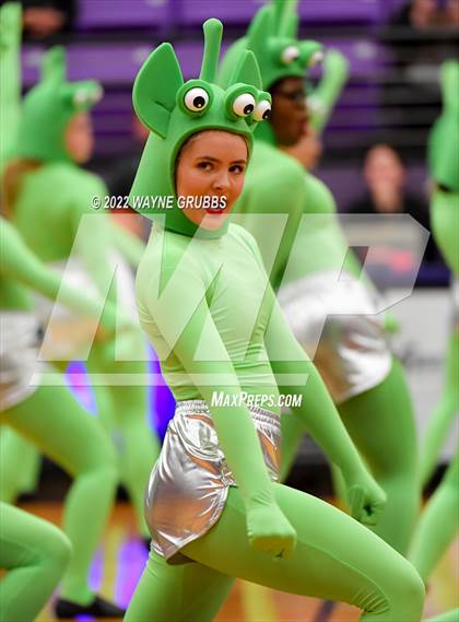 Thumbnail 2 in Longview @ Hallsville photogallery.