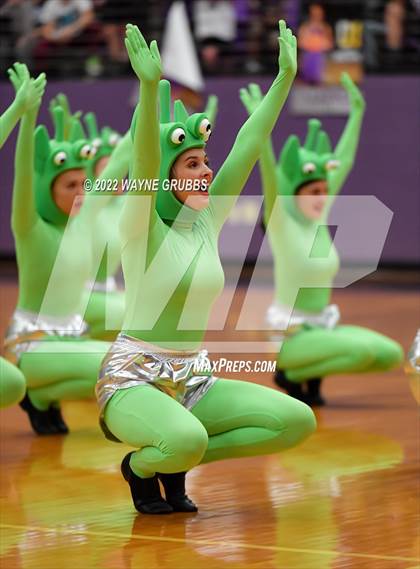 Thumbnail 3 in Longview @ Hallsville photogallery.