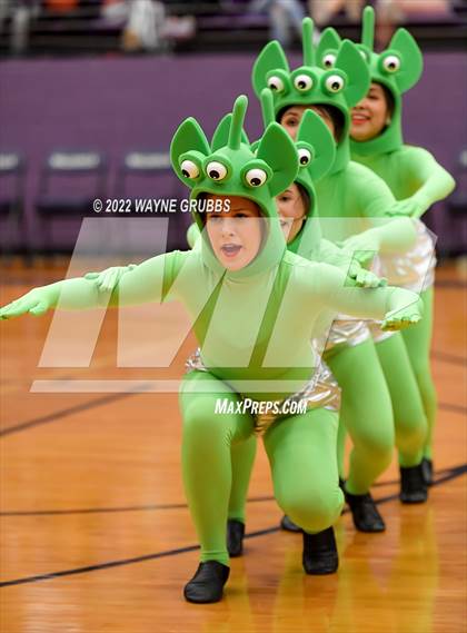 Thumbnail 1 in Longview @ Hallsville photogallery.
