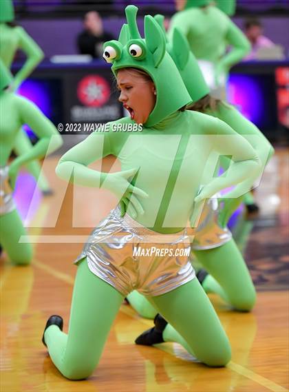 Thumbnail 2 in Longview @ Hallsville photogallery.