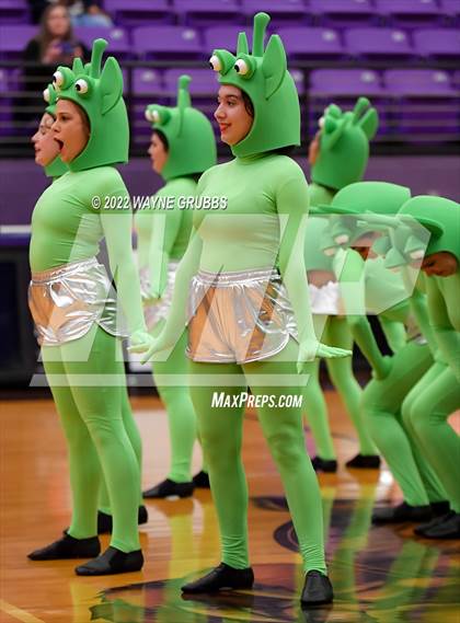 Thumbnail 3 in Longview @ Hallsville photogallery.