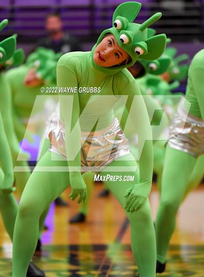 Thumbnail 3 in Longview @ Hallsville photogallery.