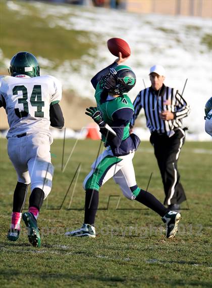 Thumbnail 1 in George Washington @ Standley Lake photogallery.
