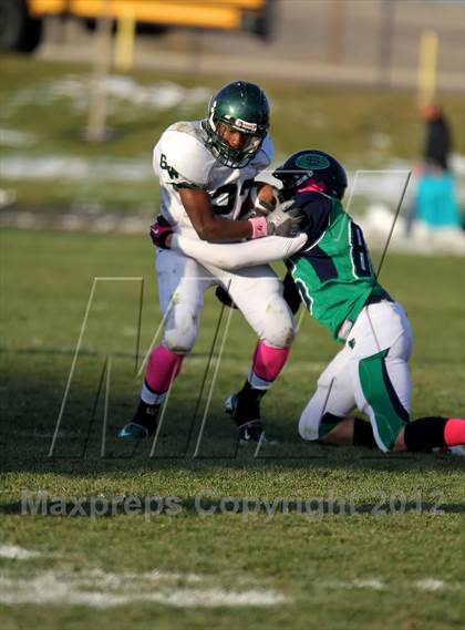 Thumbnail 1 in George Washington @ Standley Lake photogallery.