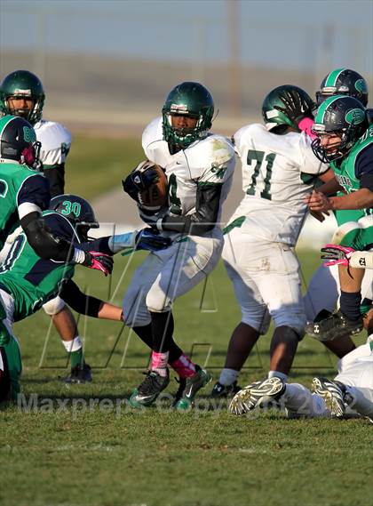 Thumbnail 2 in George Washington @ Standley Lake photogallery.