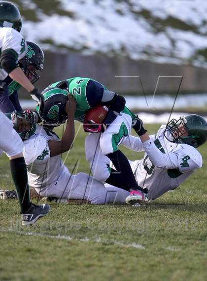Thumbnail 3 in George Washington @ Standley Lake photogallery.